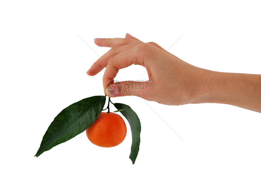 普通中达林绿色甜点热带叶子指甲手指宏观素食主义者水果食物图片