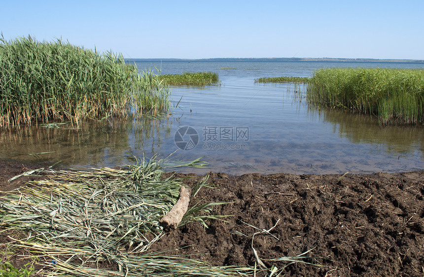 夏季普列谢耶沃湖海岸图片