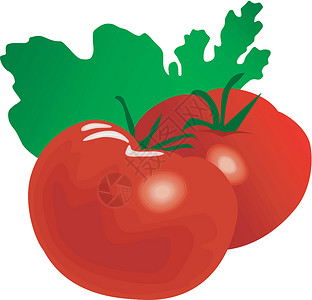 红红成熟番茄食物蔬菜红色背景图片
