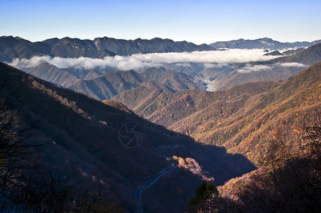 中国湖北申农家山地貌树木山脉旅游森林松树背景图片