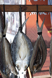 班干竞选虾干鱼烹饪传统店铺鱼干鲱鱼食物鲻鱼背景