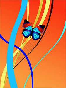 带有蝴蝶的抽象构成装饰品图案背景框架纹理花卉背景图片
