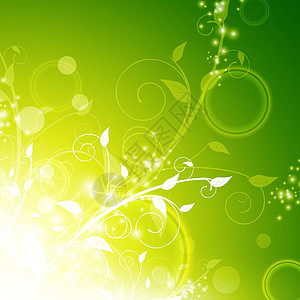 花卉背景绿色装饰曲线枝条装饰品漩涡植物插图园艺叶子背景图片