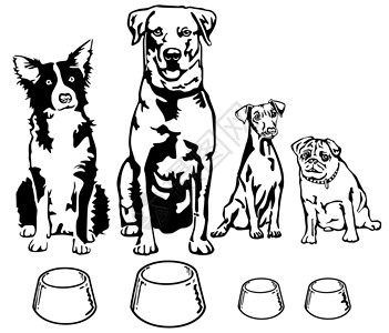 纽芬兰四只带食物碗的四只狗插画
