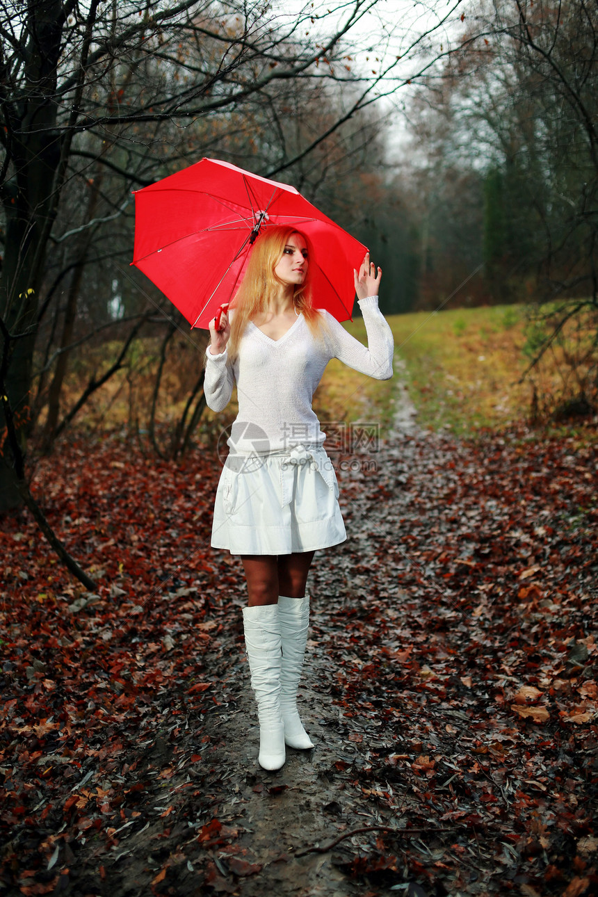 带雨伞的妇女森林活动红色白色叶子季节女性成人公园女孩图片