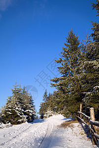 绿树林和铺有雪雪的公路背景图片