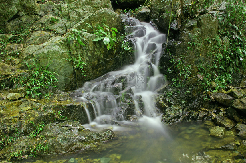 森林的瀑布溪流蓝色叶子流动环境荒野公园花园运动旅行图片