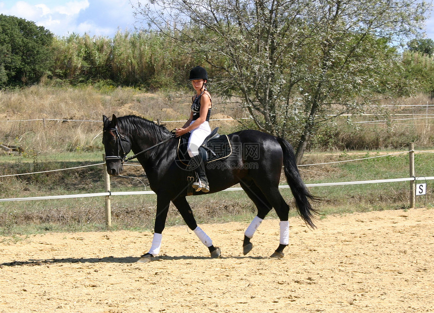 和有马的装饰的妇女运动黑色盛装蓝色头盔天空动物训练骑马竞赛图片