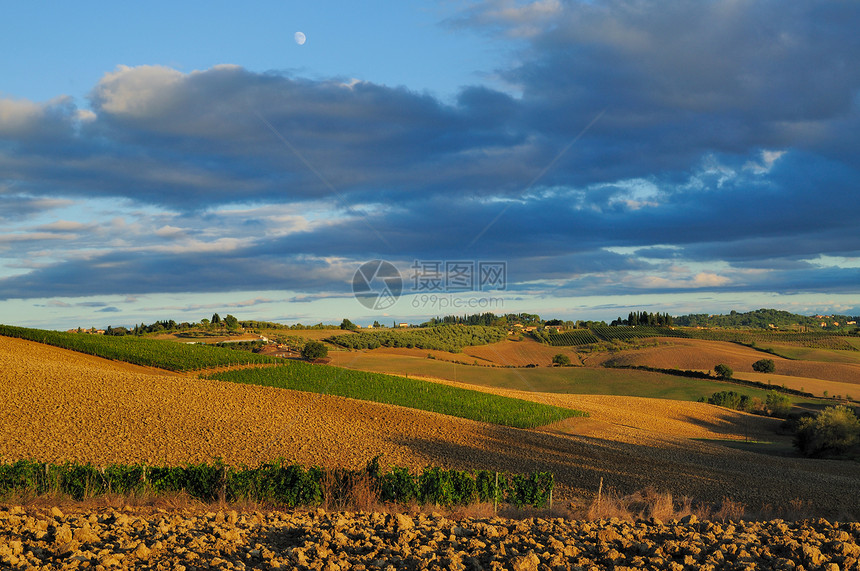 Chianti 地貌景观太阳农村山坡丘陵爬坡农场农业晴天场地环境图片