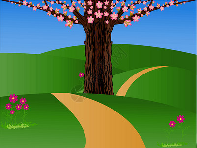 春季时间场地宇宙天空树干插图花瓣背景图片
