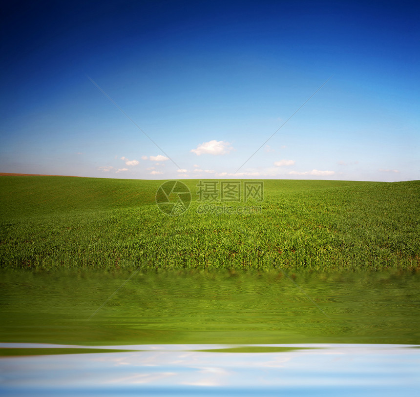 绿野牧场土地天空场地丘陵季节天气阳光地平线小麦图片