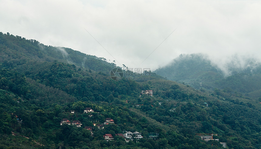 雨下森林平房叶子丘陵照片丛林倾盆大雨雨量环境薄雾荒野图片