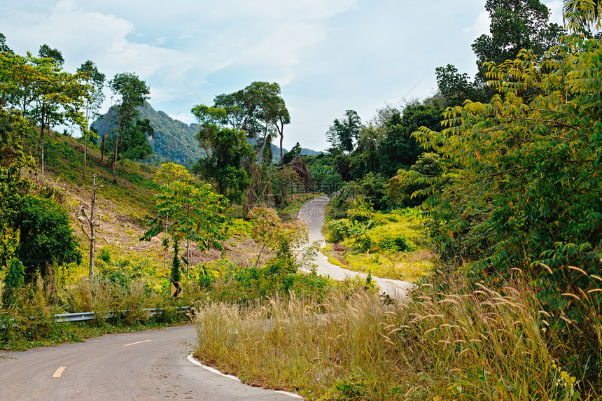 泰国公路网泰国高速公路照片旅行晴天国家风景叶子土地太阳荒野热带图片