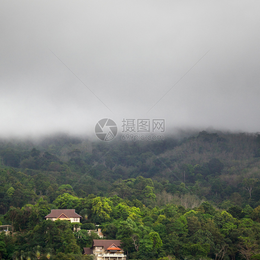 雨下森林平房国家房屋倾盆大雨环境照片叶子丛林雨量薄雾图片