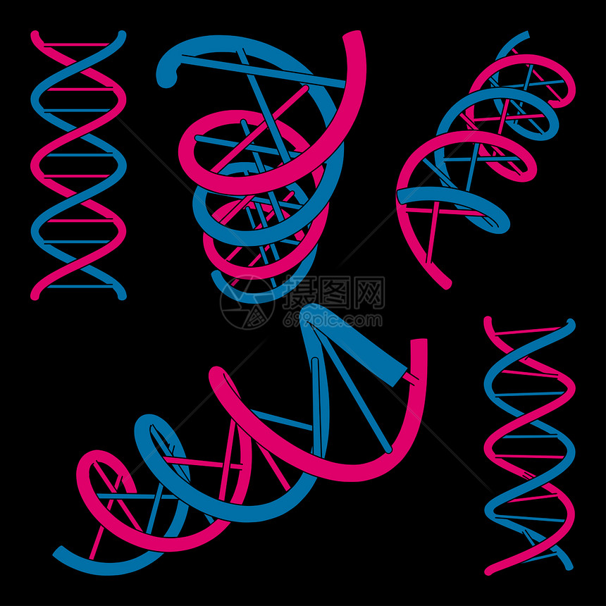 设置的DNA符号符号科学黑色生物生命光栅化生物学医疗密码染色体螺旋图片