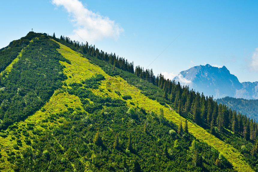 阿尔卑斯山旅游枞树旅行云杉高地岩石石头生态国家峡谷图片