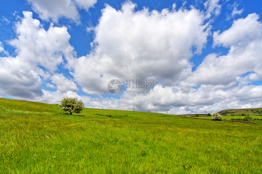 绿草和多云的天空蓝色花朵场景爬坡草地地平线农村农业全景农场图片
