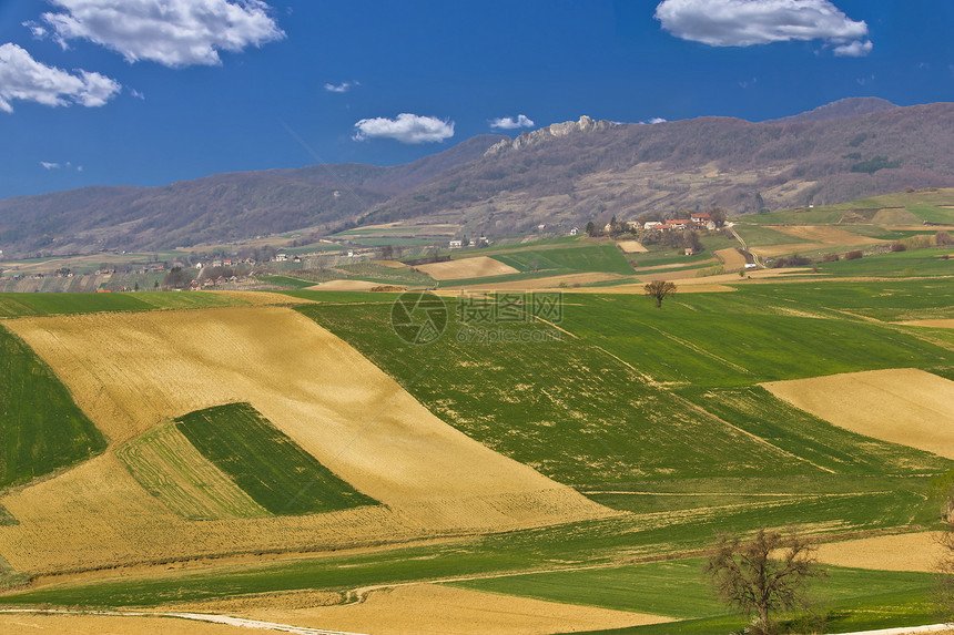 美丽的绿色风景     田地和山丘图片