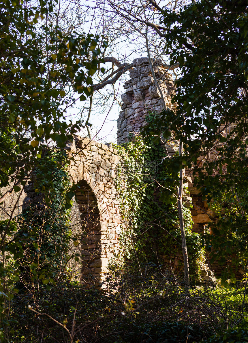 森林中被毁坏的古老城堡窗户树木林地风景雕像构图乡村园艺墙壁森林图片
