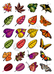 树叶和蝴蝶的收集背景图片
