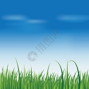 蓝天上新绿草背景图片