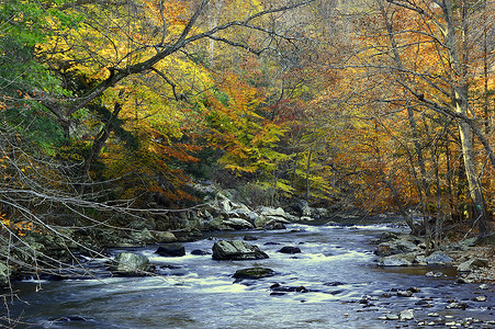 秋季末的雷坦河背景图片