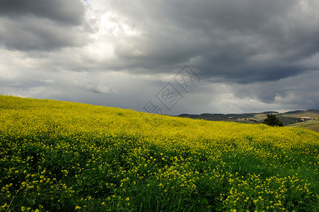 戏剧天空风暴天堂黑色暴风云暴风雨云景戏剧性气象场景危险黑暗的高清图片素材