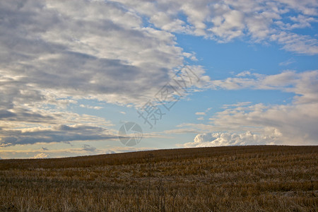 陆地农场天空你好墙纸蓝天插图背景图片