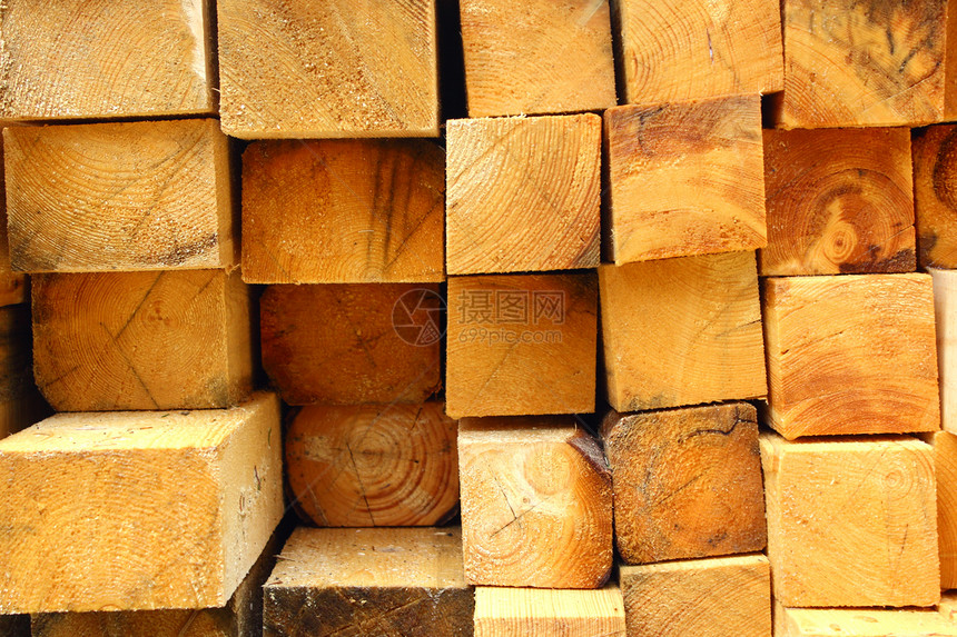 采伐的木柴记录砍伐木材燃料工业材料森林黄色木头树干图片
