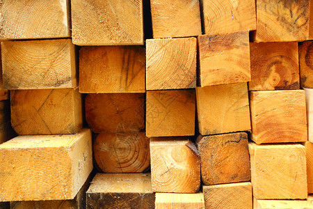 削减采伐的木柴记录砍伐木材燃料工业材料森林黄色木头树干背景