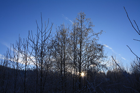 冬天天空太阳阴影背景图片