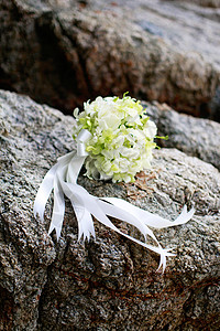 新娘形象场景婚礼婚姻仪式旅行兰花庆典宗教热带环境美丽的高清图片素材
