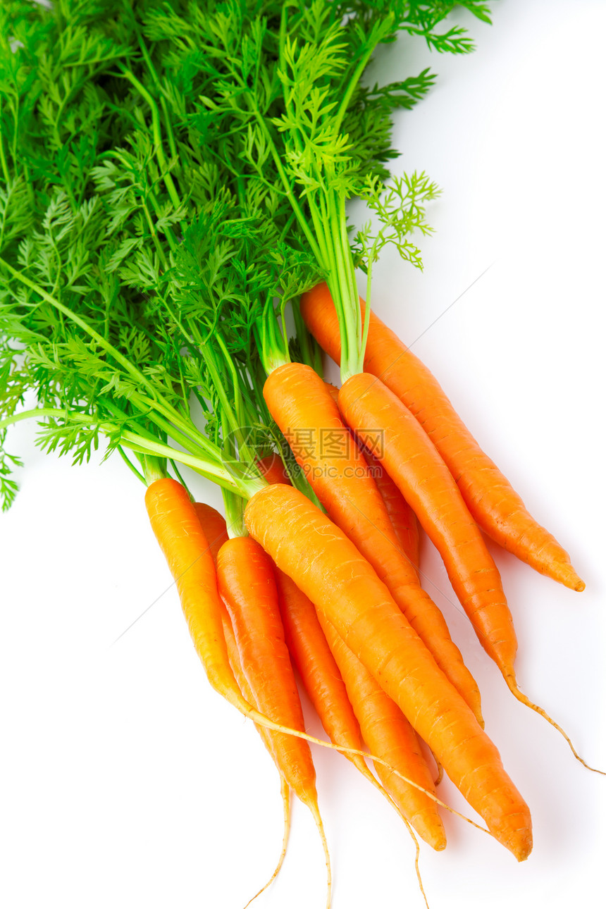 新鲜胡萝卜水果 带绿色叶子 孤立在白色的落后地带收成营养食物橙子果汁蔬菜图片