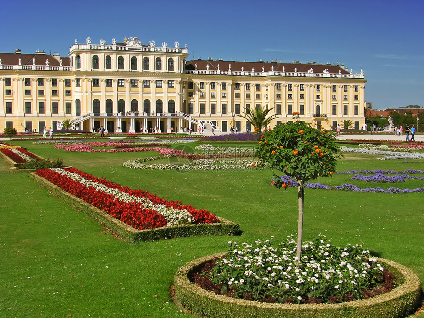 奥地利维也纳Schonbrunn宫殿和花园绿色建筑学城堡旅游公园花朵图片