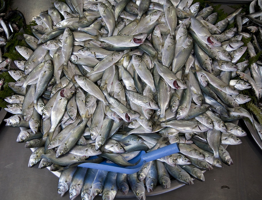 供出售的沙丁鱼火鸡水平传统钓鱼市场海洋销售食物海鲜商业图片