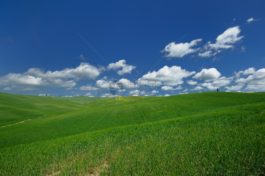 克里特塞内西草原国家季节场景山坡丘陵农村地平线风景植被图片