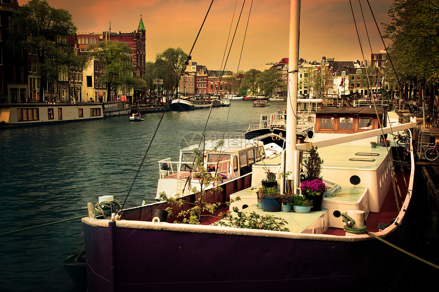 阿姆斯特丹 罗马运河 船棕褐色历史性街道房子游客城市特丹花朵自行车运河图片