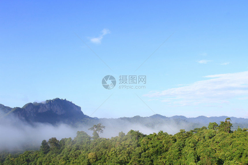 泰国山上大气的清晨场地高地辉光气氛薄雾树木纹理荣耀种植园蓝天图片