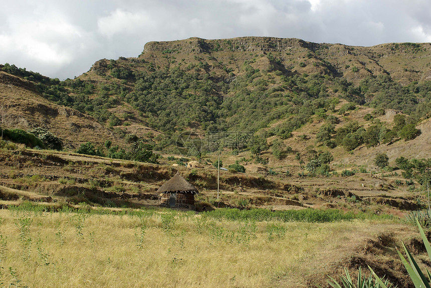埃塞俄比亚的哈特建筑学国家草地场地房子荒野农村风景乡村村庄图片