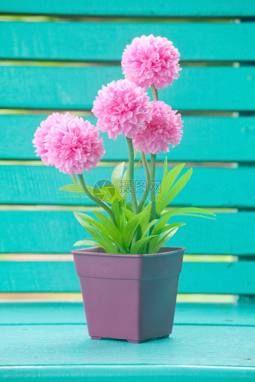 锅中的粉花花盆植物花束花瓣礼物季节美丽兰花宏观盆栽图片