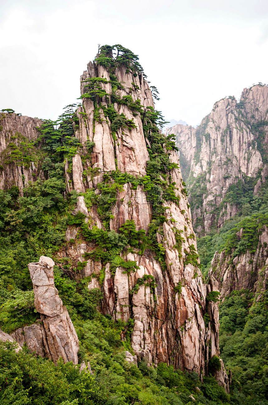 黄山山峰树木顶峰森林岩石石头全景爬坡雕塑悬崖勘探图片