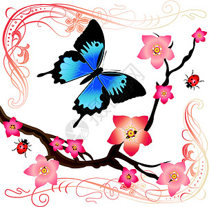 夏季卡艺术翅膀自由蝴蝶装饰品插图活力昆虫樱花漏洞背景图片