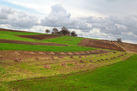 乌克兰语村场地地平线正方形绿色乌云旅行土地农田房子农村背景图片