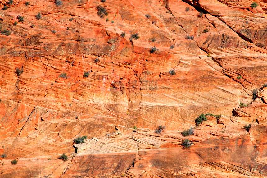 锡安国家公园沙石岩图片