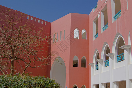 阿拉伯建筑红陶露台花园制品阳台灌木陶瓷庭院支撑海岸背景图片
