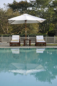 拉贾斯坦绿绿的游泳池旁边的阳台酒店季节假期花园毛巾蓝色植物天空花朵设施背景