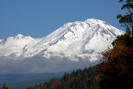 雪帽山沙斯塔山度假森林旅行山景雪帽风景旅游胜地背景