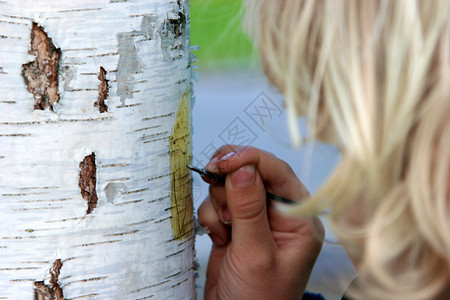 男孩在树林里砍树皮高清图片