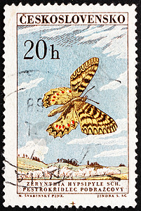 1961年捷克斯洛伐克南费斯登 蝴蝶邮戳高清图片