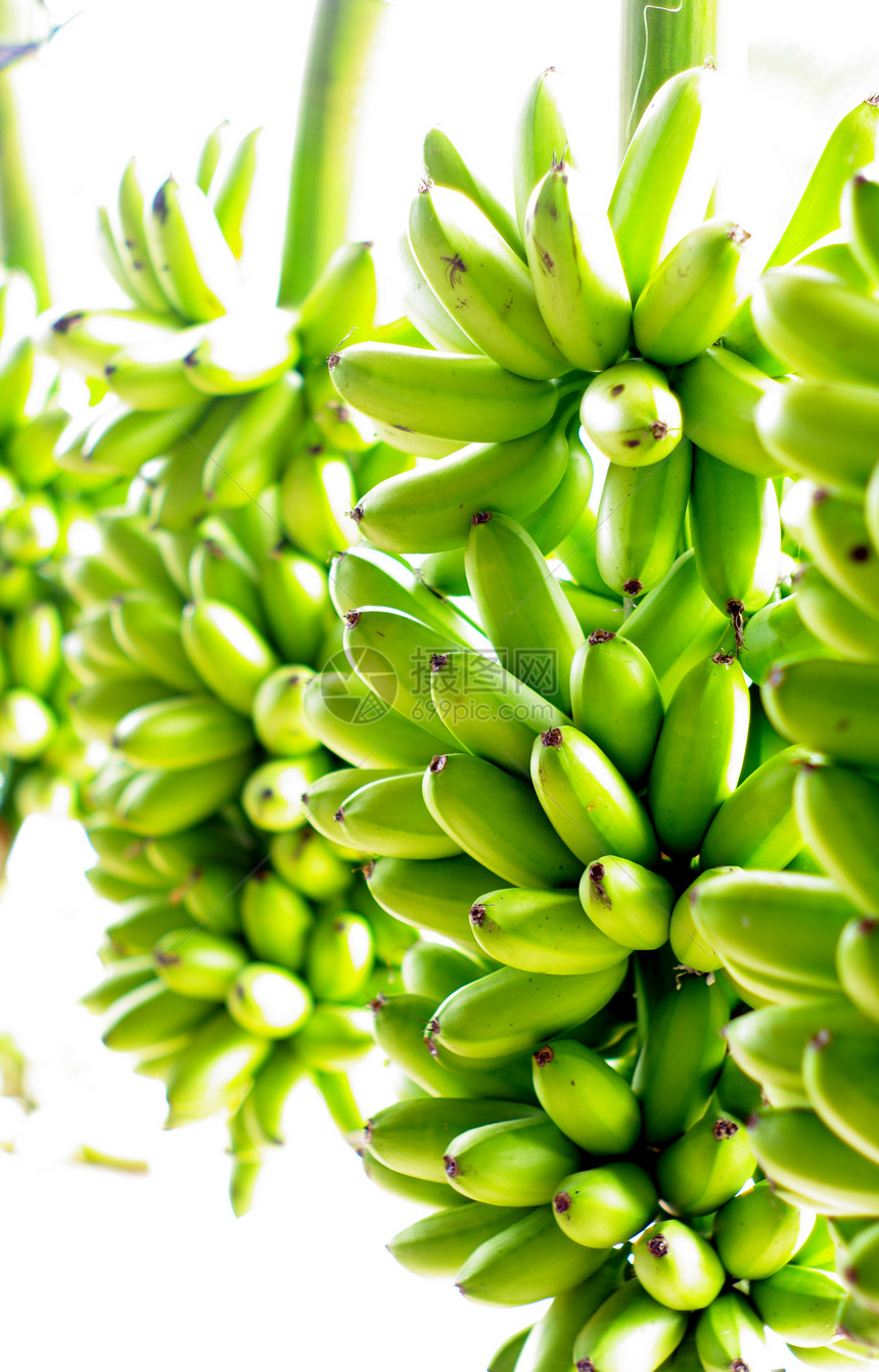 挂在铁路上的绿色香蕉农村国家民俗市场水果农业食物图片